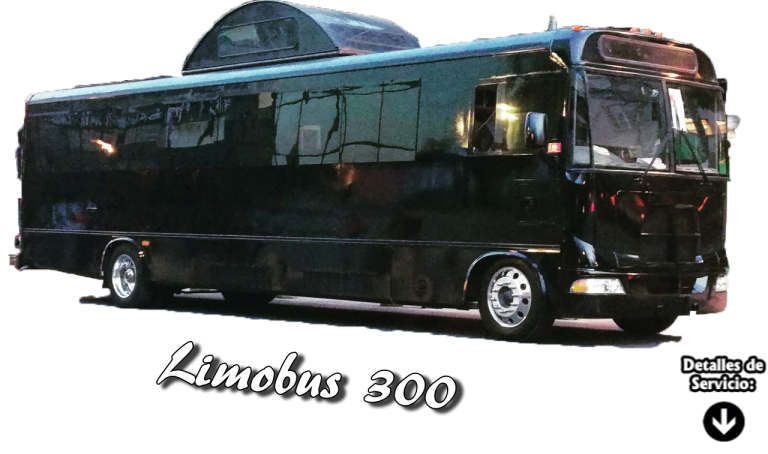 Limobus300Main